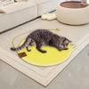 Reversible Cats Scratcher Mat Durability Indoor Grinding Claws Cats Training Toy for Cats Playtimes