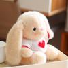 Soft Big Ear Bunny Plush Doll Long Ear Rabbit Plush Toy Stuffed Animals Rabbit Toy  Kids Gifts