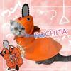 Anime Chainsaw Man Pochita Κατοικίδια Κοστούμι Cosplay για Γάτα Σκύλο Μανδύας Κατοικιδίου Πορτοκαλί
