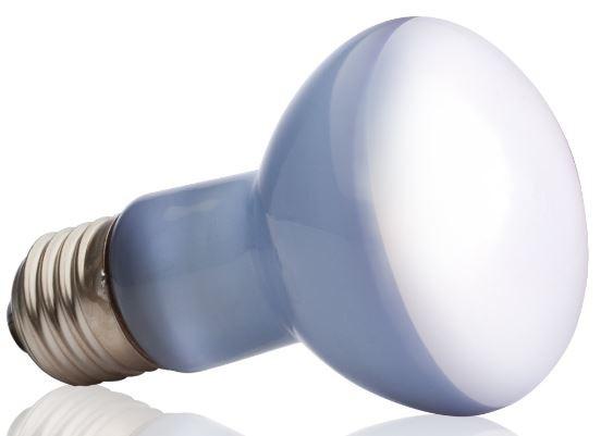 Exo Terra Daylight 25W (Neodym varmepære)