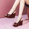 Fashion Platform Wedge Women's Sandals 2025 Summer New Peep Toe Casual High Heels Fashion Buckle Strap Plus Size Ladies Heeled Sandales
