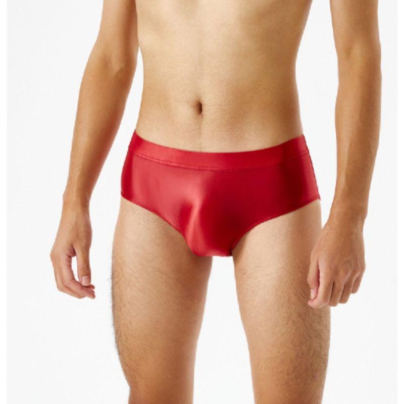 Shiny Silky Stretch Briefs