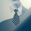 Bow Tie Dog Collar,djustable Pets Dog Cat Neck Ties Pet Necktie with Suit White Collar for Small and Medium Dogs Grooming AccessoriesS