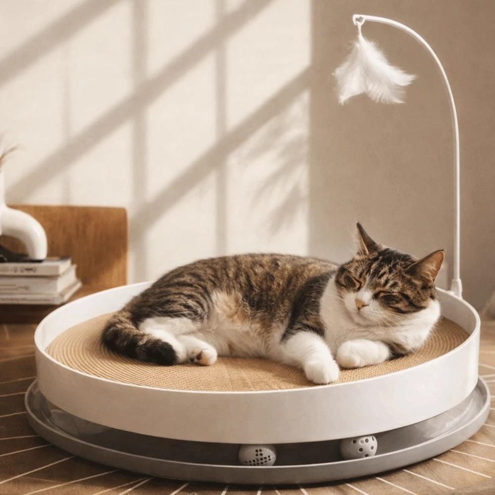 Stable Cat Scratch Board Round Teasing Cat Stick Interactive Cat Turntable Toy  Indoor Play