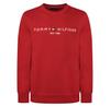 Худи Tommy Hilfiger Logo