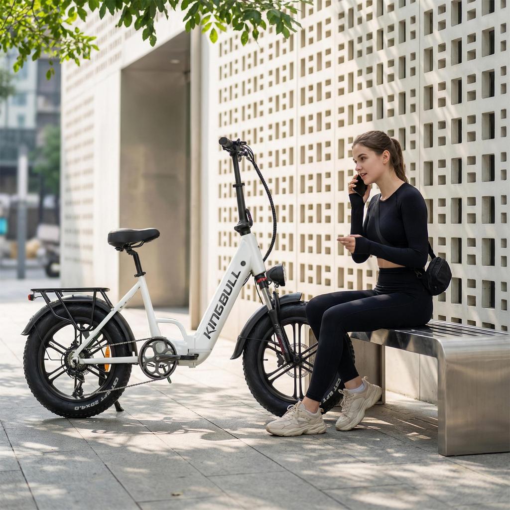 MAISJ Literider 2.0 45KM/H Elektrofahrrad 48V13.5Ah 500W Stadttauglich mit LCD 20*4.0" Reifen Elektrofahrrad Faltbar Leichtgewicht EBike
