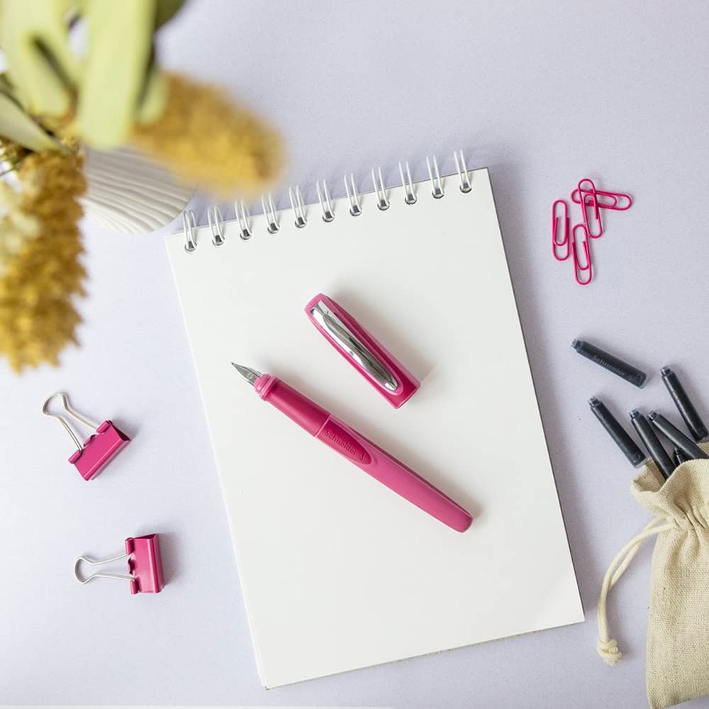 Schneider Fountain Pen Ray F Boysenberry RYFP168309F (Fine)