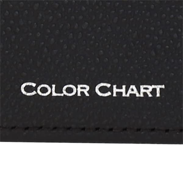 Color Chart Photo Frame Postcard Size (Vertical) 85 Polar Night