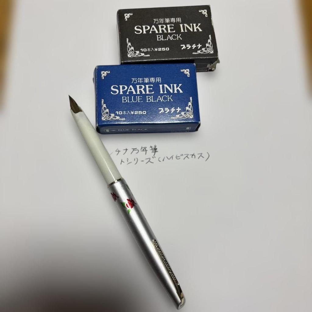 Used Platinum Fountain Pen Hibiscus Pattern