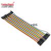 40-Pin Male To Female Dupont Line Ribbon Cable, 20cm