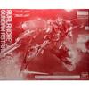 BANDAI SPIRITS 1/100 MG Avalanche Dash Unit for Gundam Astraea TYPE-F "Mobile Suit Gundam 00F (Double O F)
