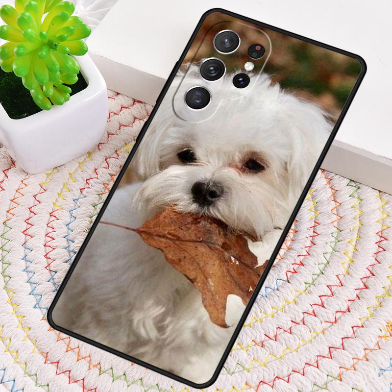 Maltese Dog Puppy Silicone Phone Case For Samsung Galaxy note 10 pro S26 S25 S24 S23 S22 S21 Plus S25Ultra Capa Cover