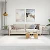 VidaXL Coffee Tables 2 Pcs Sonoma Grey 50x50x40 Cm Engineered Wood 829377