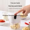 LISM Mini Electric Garlic Chopper