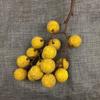 Handwerkskunst Simulation Longan Lebensecht Obstmodell Heimdekoration Künstliche Frucht Blumenarrangement