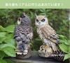 M Pro Owl Figurine, Garden Ornament, Feng Shui, Good Luck Charm, Crow Repellent, Gardening (Beige)
