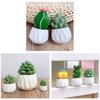 Mini Artificial Cactus and Bonsais Figure Resins Succulent Faux Potted Plant Figurine for Home and Office Desktop Decors