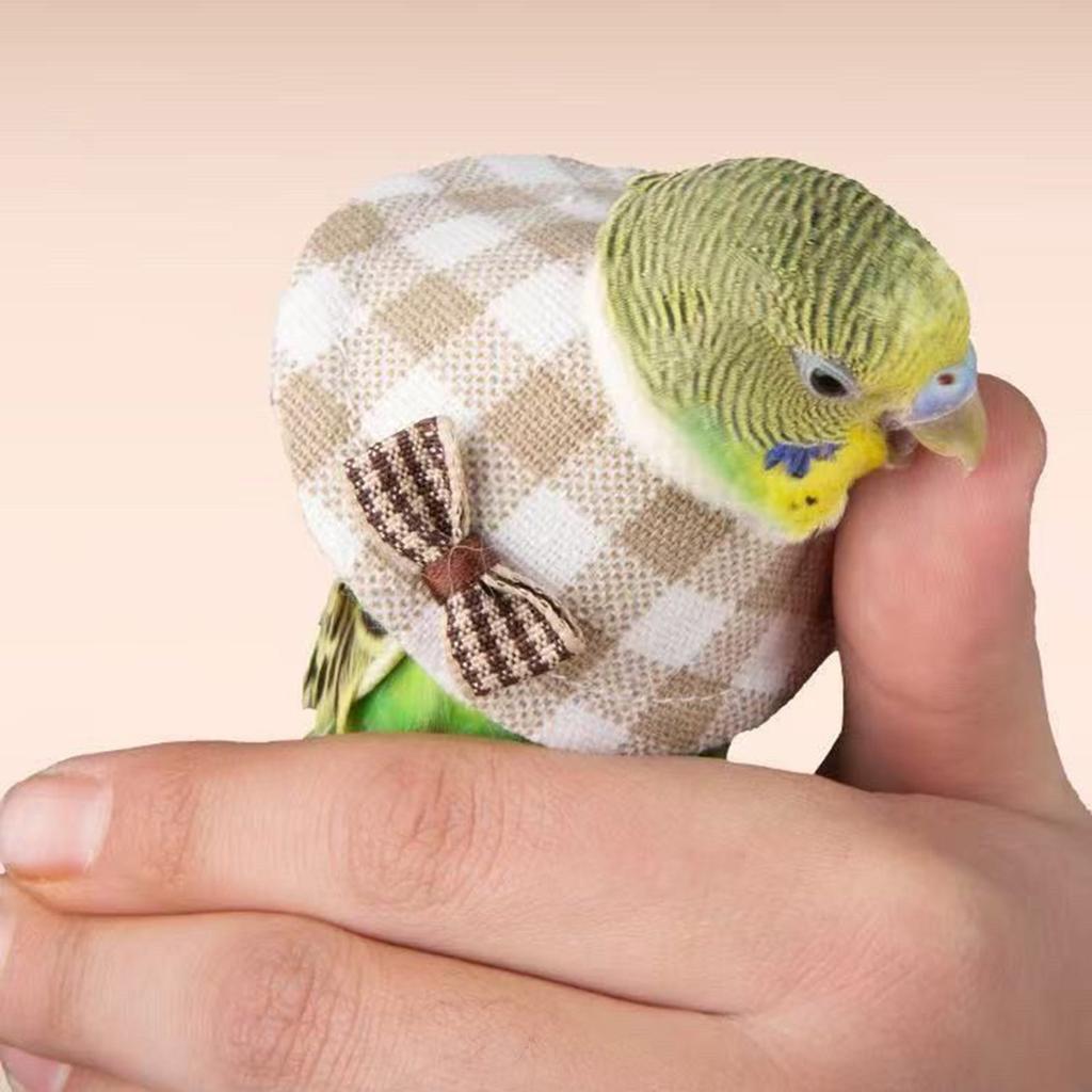 Adjustable Elizabethan Collar for Parrots Stop Feathered Pecking and SelfInjury Comfortable Soft Cone Collar for Birds