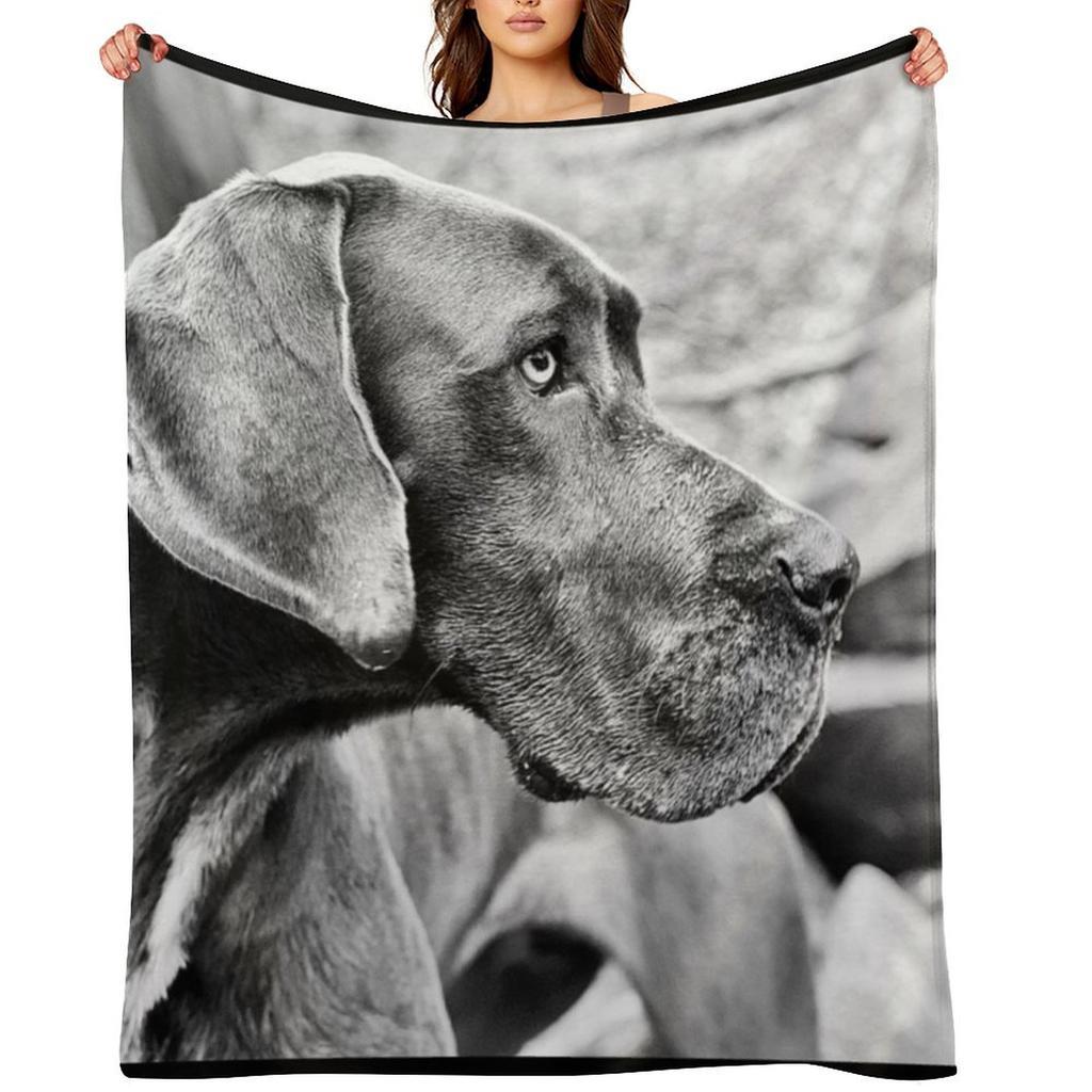 Blue Black Great Dane Throw Blanket For Baby Sofa Quilt Winter Beds Beautifuls Blankets