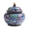 Enamel Color Porcelain Tea Canister Sealed Ceramic General Jar Storage Jars Desk Decoration Tea Cans Candy Pots Tea Caddy