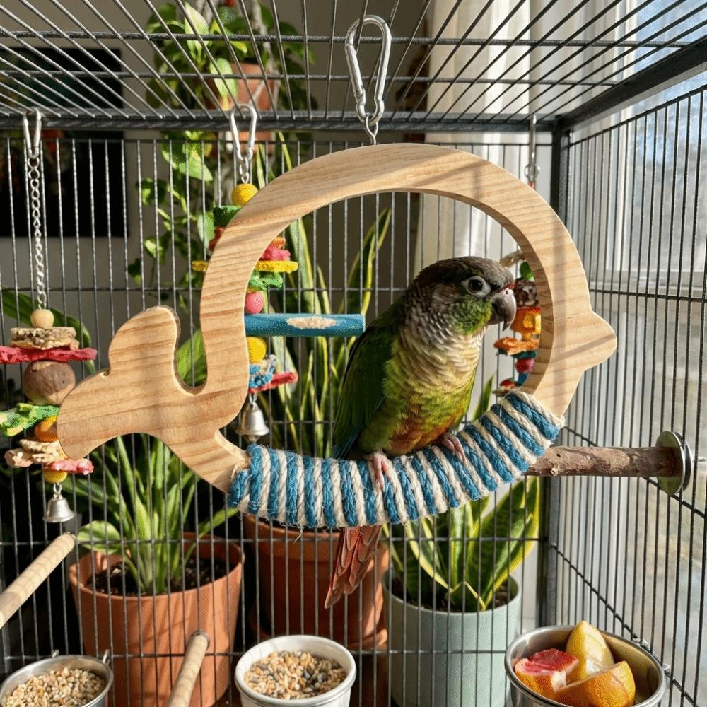 Hängendes Papageienschaukelspielzeug Holz Papageien Spielgestell Interaktives Vogelspielzeug Haustier Unterhaltung