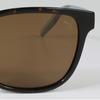 Puma Galleria Puma Sunglasses Pe0120s 002 Square Acetate Men woMen