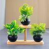 Green Leaves Faux Plant Bonsai Photo Props Artificial Potted Plant  Home Decoration