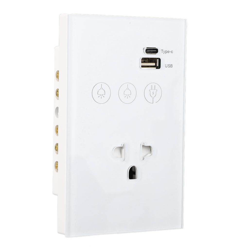 Smart Wall Outlet 2.4G WiFi Touch Light Voice Remote Control Smart Plug with USB and Type C Port for
