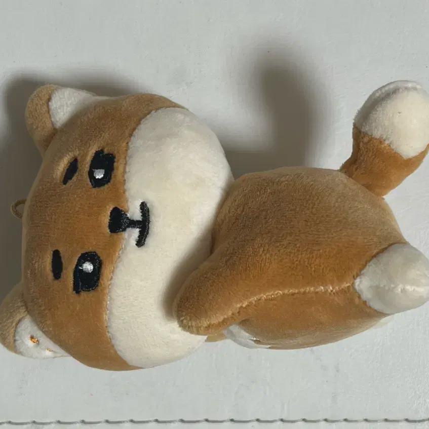 

Day6 Denimals Kay Young K Hand Warmer