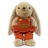 Plush Rabbits Toy Stuffed Animal with Changeable Clothes for Kids Emotional Support Birthday Gift