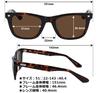 Officially Licensed Sunglasses Wellington Clear Dark Brown [FC Barcelona] Men's BC-704