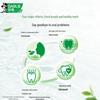 Darlie Tea Plus Longjing Green Tea & Mint Toothpaste Set