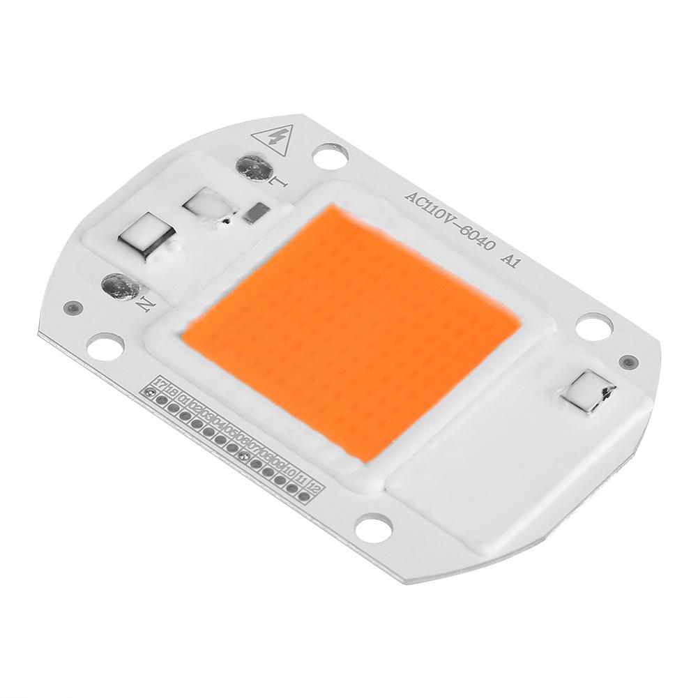 Full Spectrum Led COB Chip Grow Light Growth Lamp Garden Hydroponic Plant (220VCelsius20W)