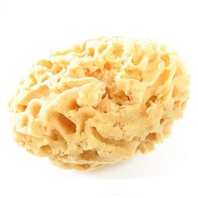 Natural Sponge Classic/C012