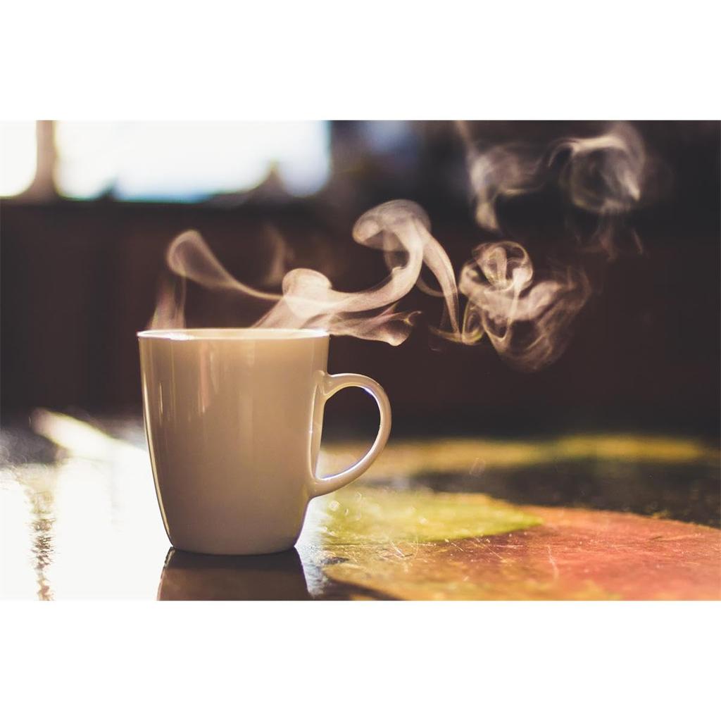 Braun Coffee Maker Water Filter Cartridge KWF2