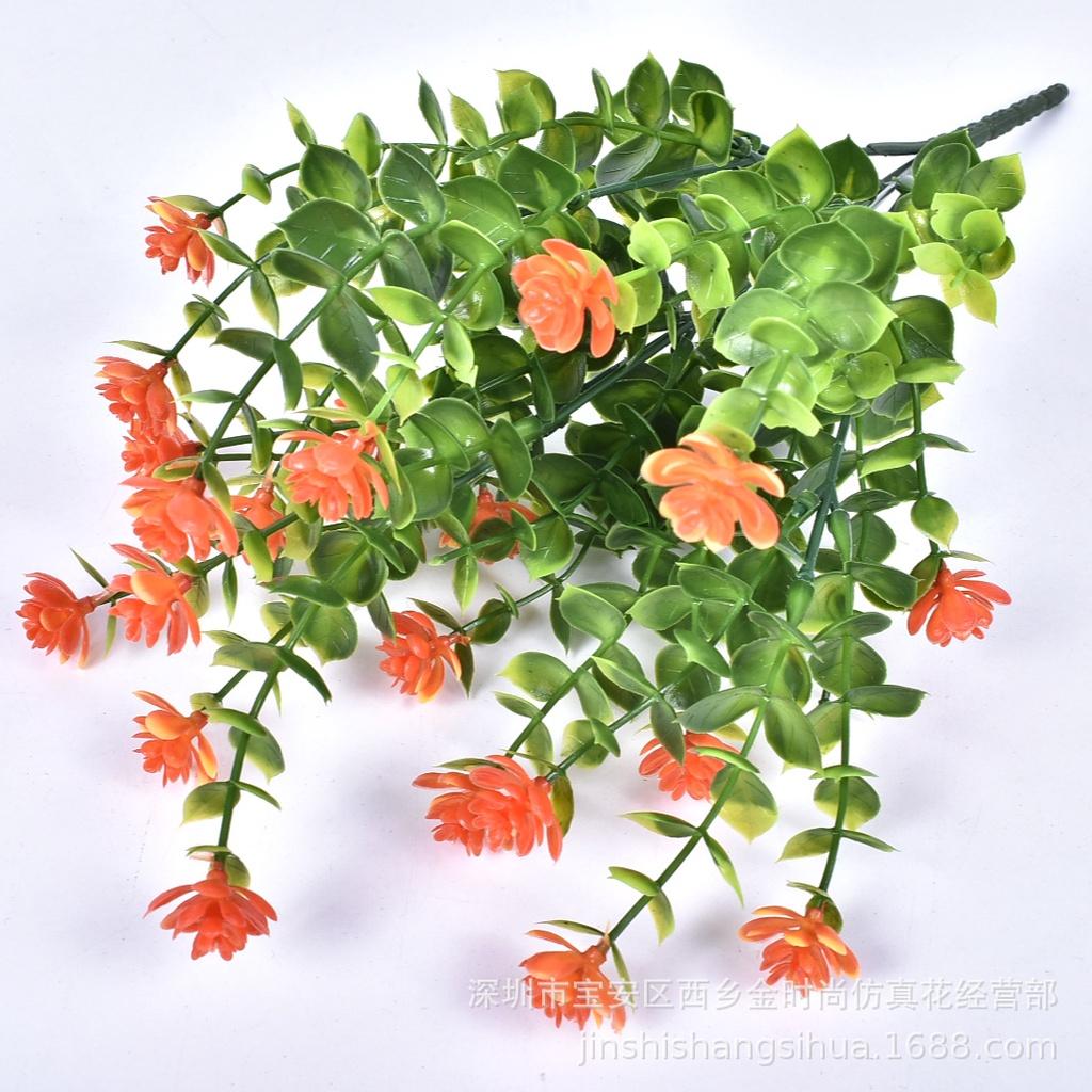 Exquisite kleine Eukalyptusblüten, perfekt zur Verschönerung von Garten- und Wohnräumen