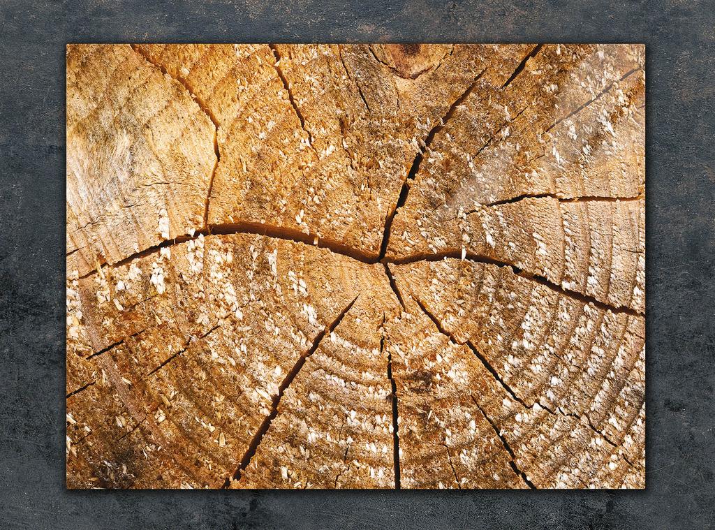 SZKLANA DESKA DO KROEJNIA 30x22 DREWNO