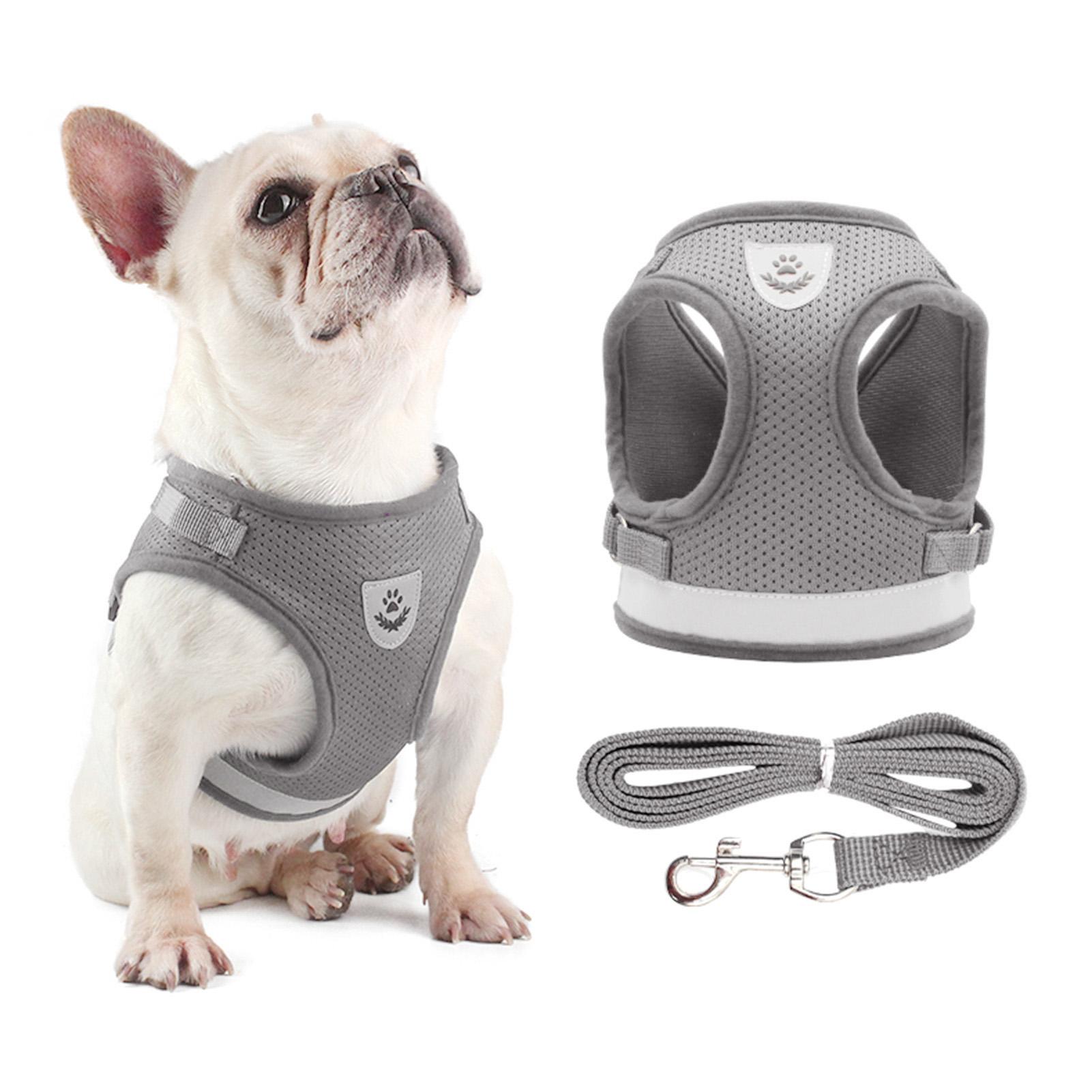 

Комплект шлейки и поводка для собак, светоотражающий регулируемый сетчатый жилет для маленьких собак, щенков, кошек