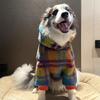 Warmer Fleece-Haustier-Hoodie Labrador Golden Retriever Samojede Wintermantel Weicher Korallen-Samt Hundepullover