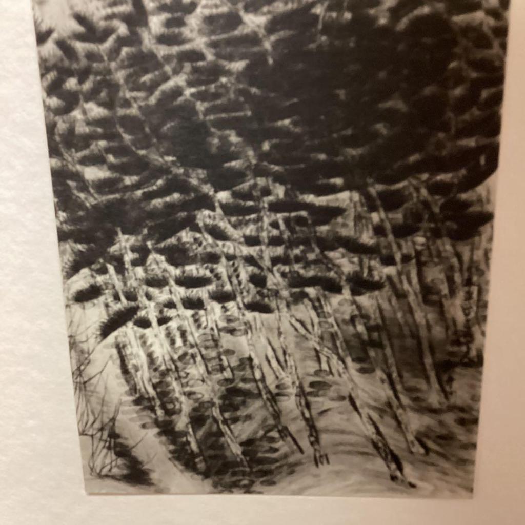 [USED] Genius Painter Hayami Gyoshu: From the Collection of Masterpieces, Supervised by Benrido, Art Collection No. 5, Twilight