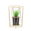 Iron Handicrafts Nordic Creative Luxury Simulation Plant Ornaments Flower Pots Desktop Potted Plants Home Decoration Ornaments
