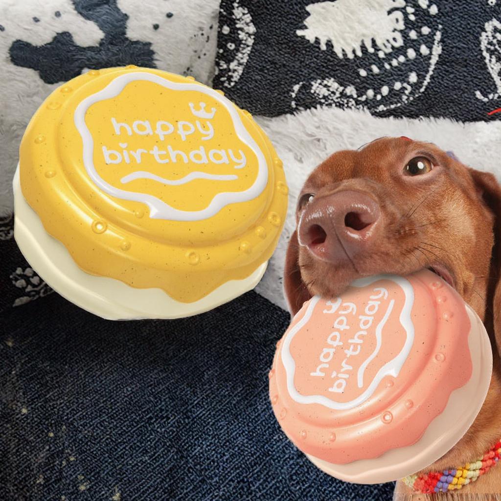 Interactive Indoor Dog Birthday Gift Ball Toy Funny Squeaky Chew Toy Cartoon Cute Birthday Cake Shape Daily Use TPR Pet Bag