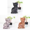 Crystal Cat Resin Decor With Fortune Symbol For Office Desk Enhancements