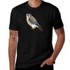 American Kestrel TShirt T Shirts for Unisex Graphic Tees TShirt