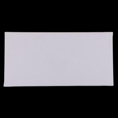 Tablero para pintura acrílica al óleo, lienzo tensado, ideal para artistas profesionales y pintores aficionados.