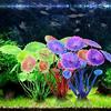 2pcs Flower Grass Fish Tank Aquarium Aquatic Simulation Water Plant Ornament