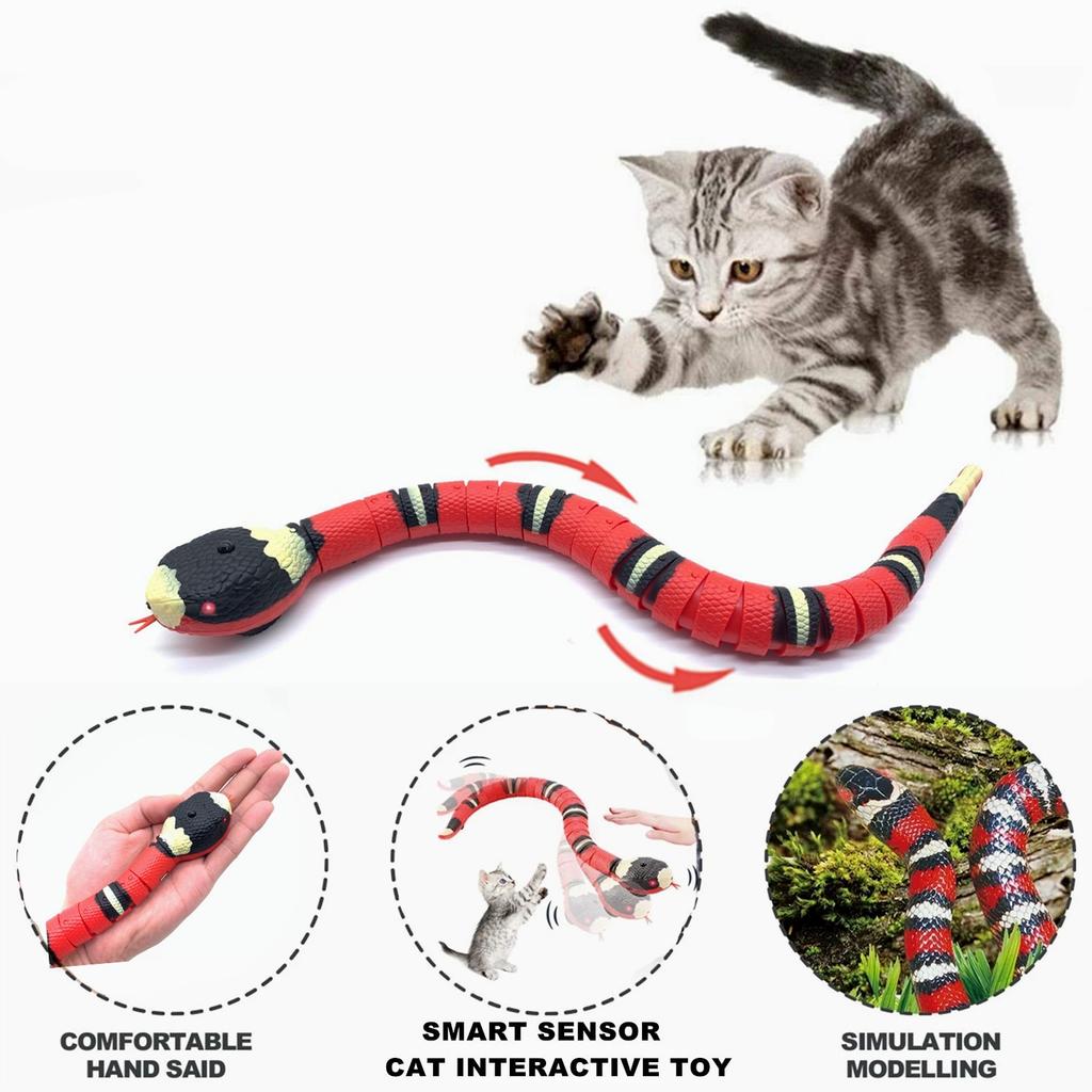 creative cat toys