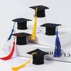 Graduation Wine Bottle Figurine with Felt Hat and Gown Decoration