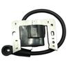 Compatible Ignition Coil High Voltage Pack for TECUMSEH 344443 Series