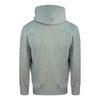 Champion Mens Icon Logo Hoodie